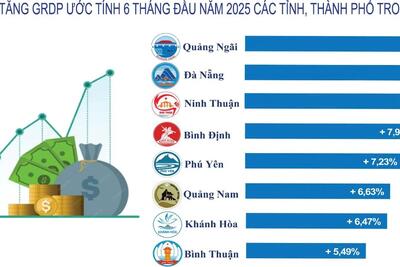 Tăng trưởng kinh tế 6 tháng đầu năm 2025 của tỉnh Quảng Ngãi cao nhất trong 5 năm qua