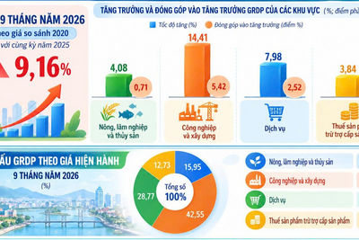 Tình hình tăng trưởng GRDP quý III và 9 tháng năm 2026 của tỉnh Quảng Ngãi