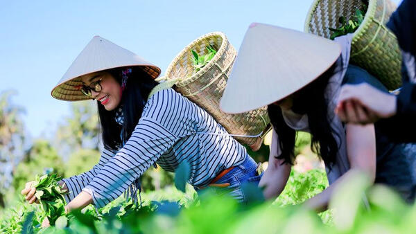 Thúc đẩy phát triển du lịch nông thôn ổn định và bền vững