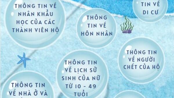 Điều tra dân số và nhà ở giữa kỳ năm 2024