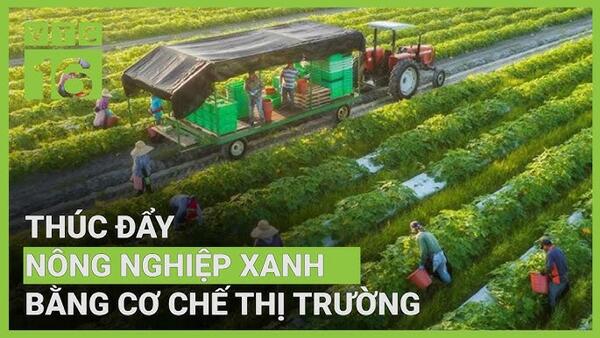 Thúc đẩy đổi mới sáng tạo xanh trong nông nghiệp qua cơ chế thị trường